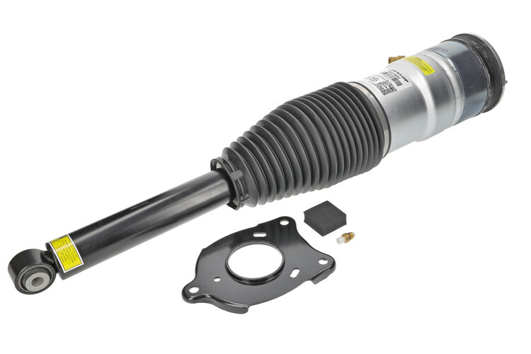 Dunlop Luftfederbein